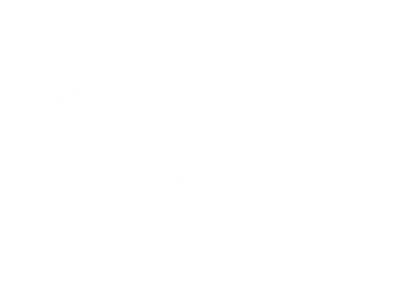 Developers Guru